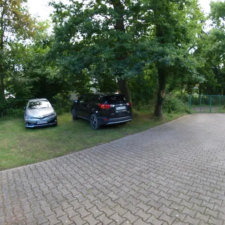 Проживание в семье Harry